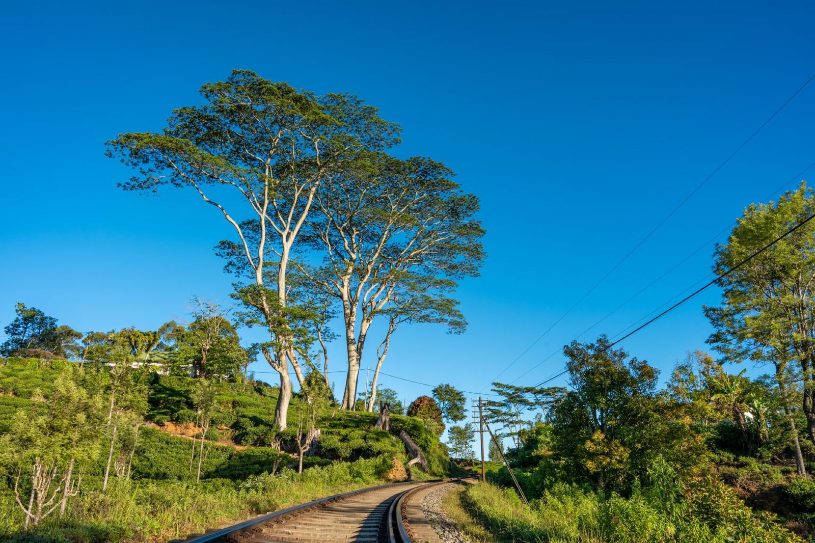 Sri Lanka Gezi Rehberi
